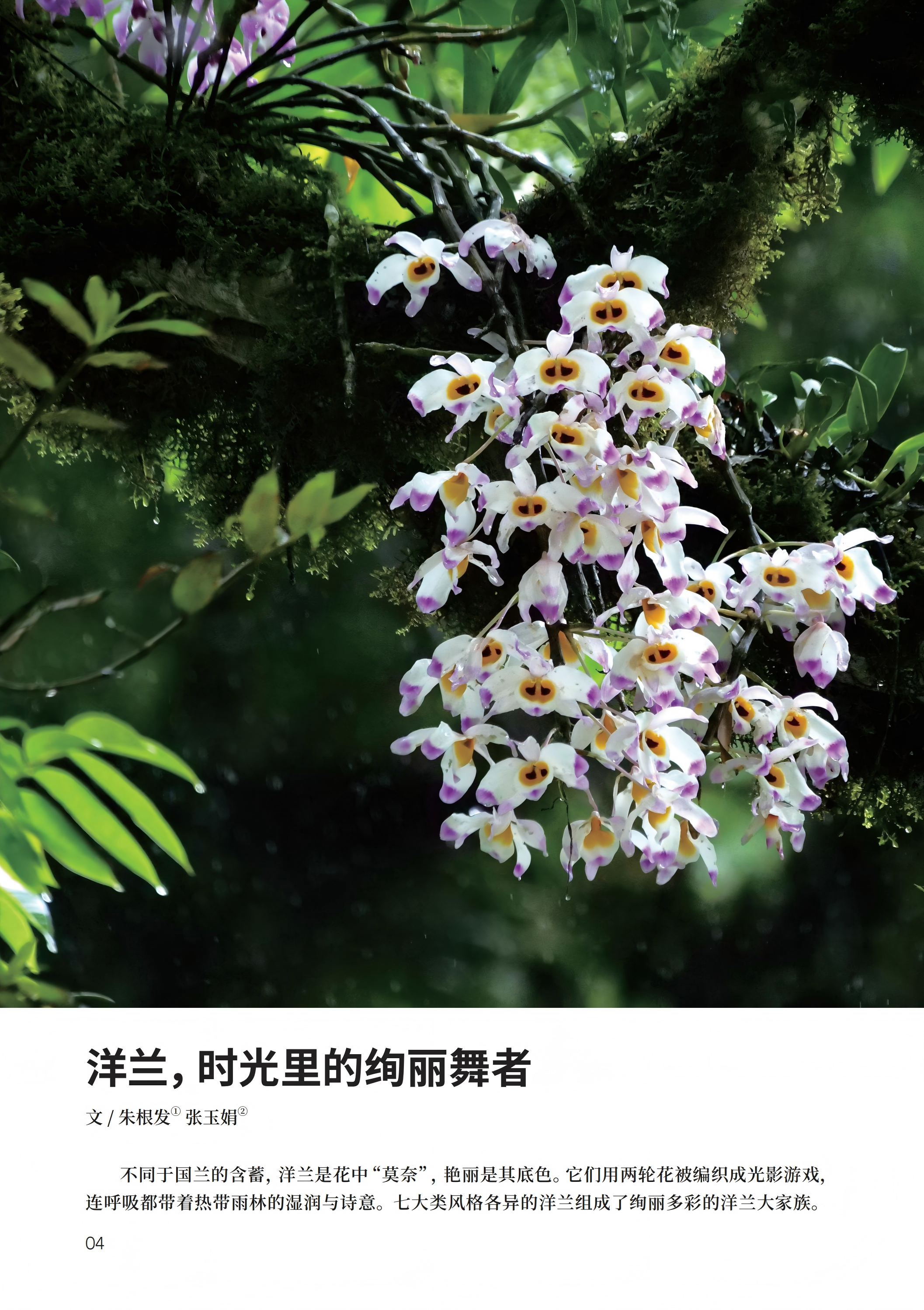PDF合并_03.jpg