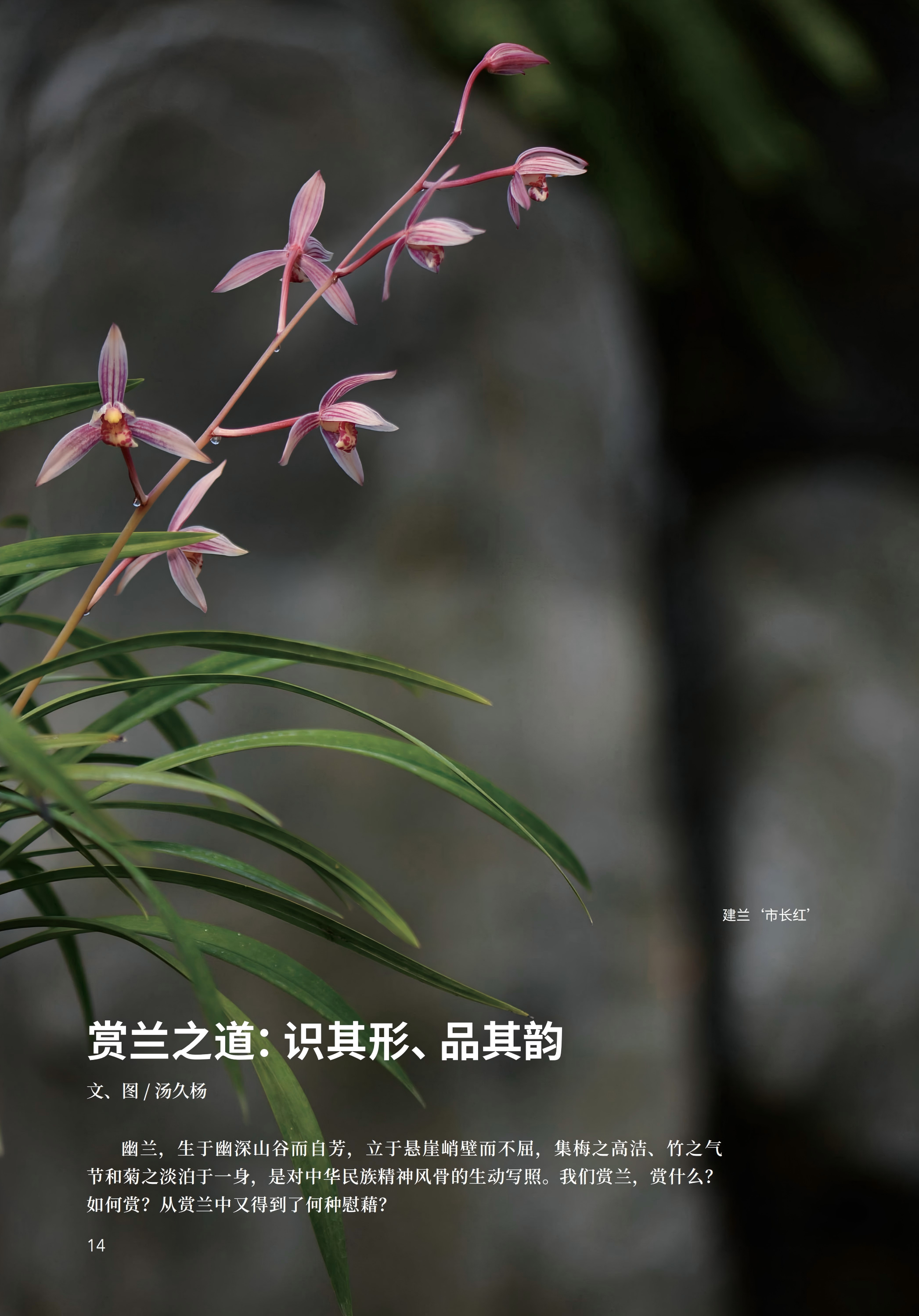 PDF合并_04.jpg