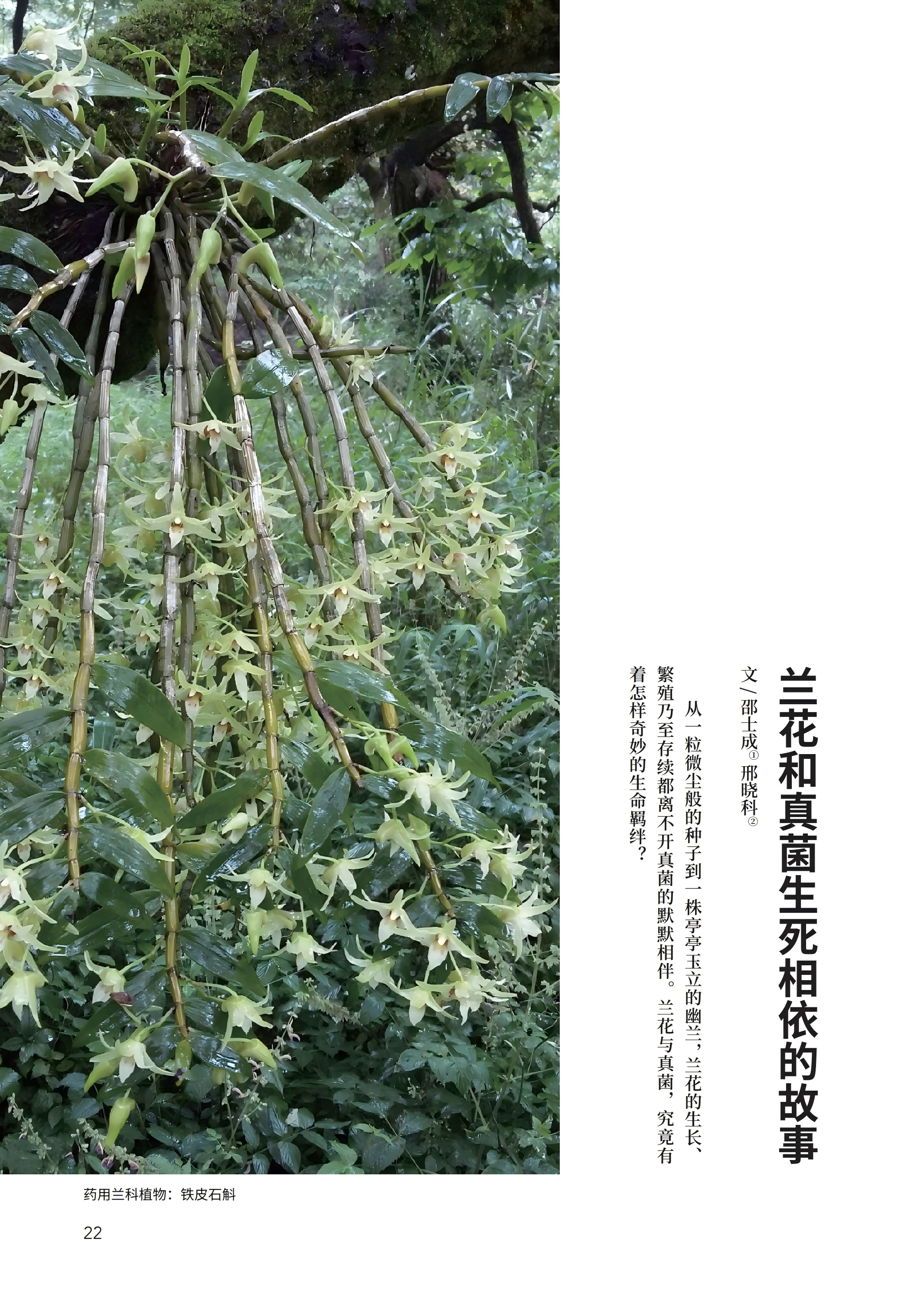 PDF合并_05.jpg