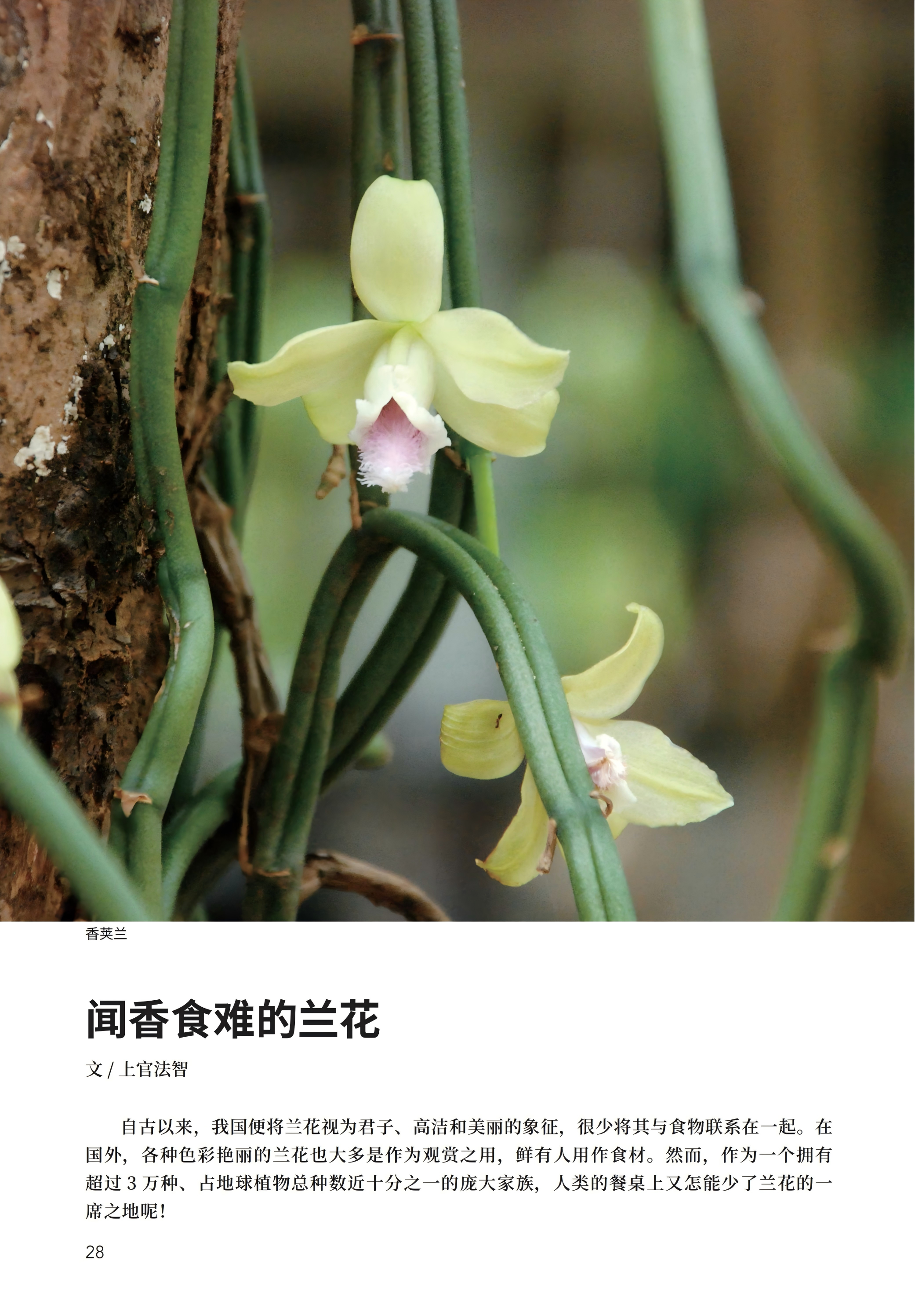 PDF合并_06.jpg