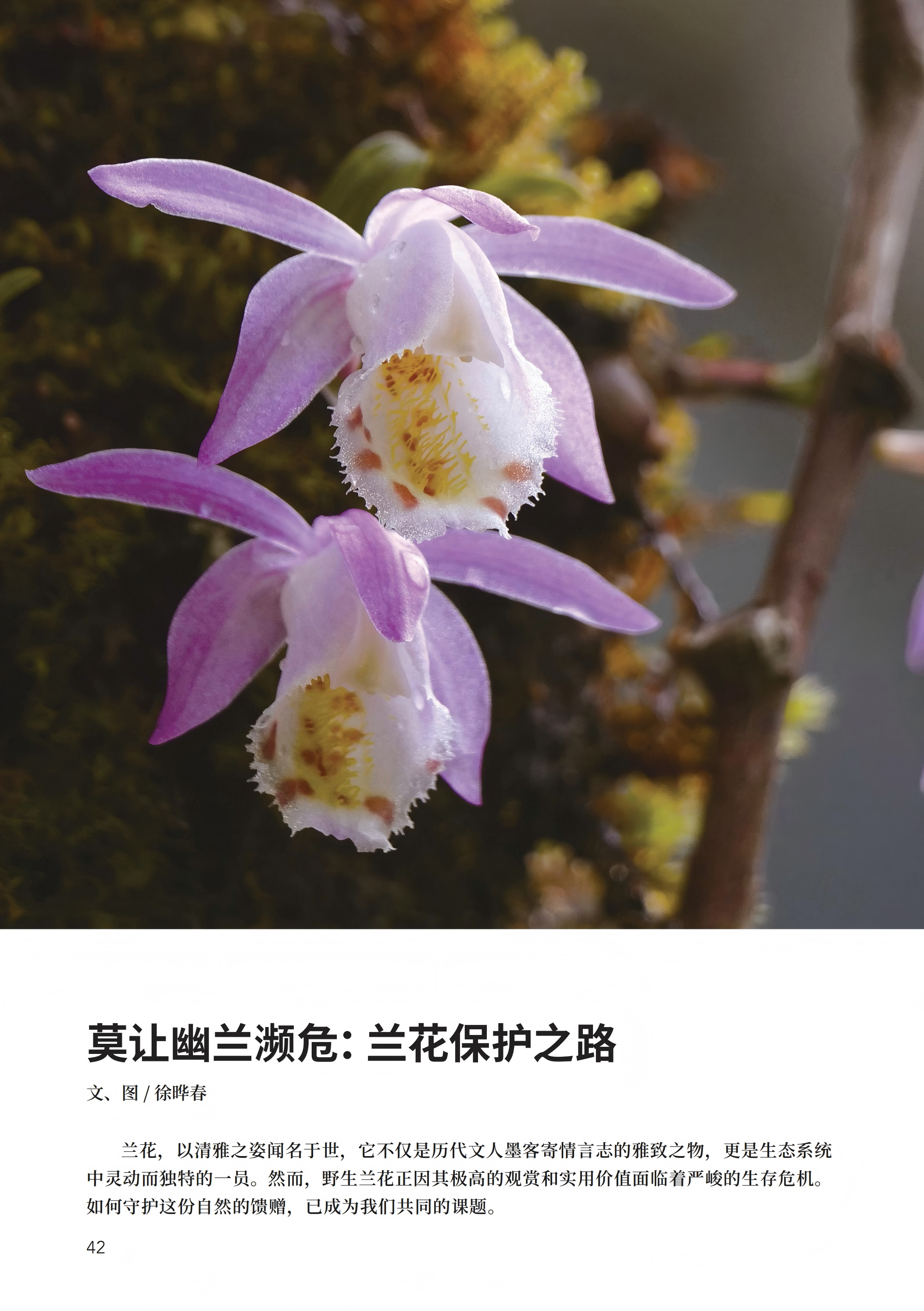 PDF合并_08.jpg