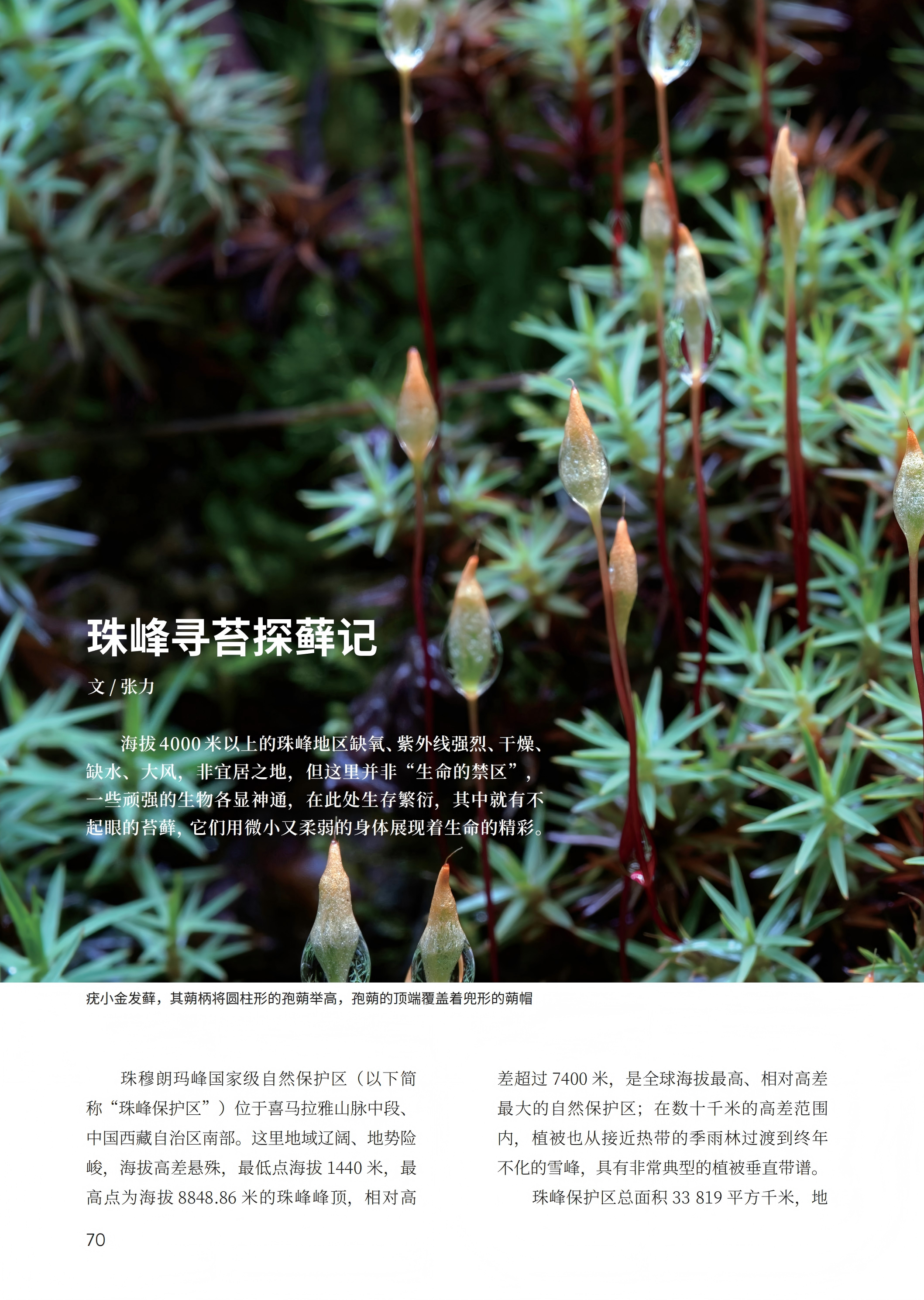 PDF合并_12.jpg