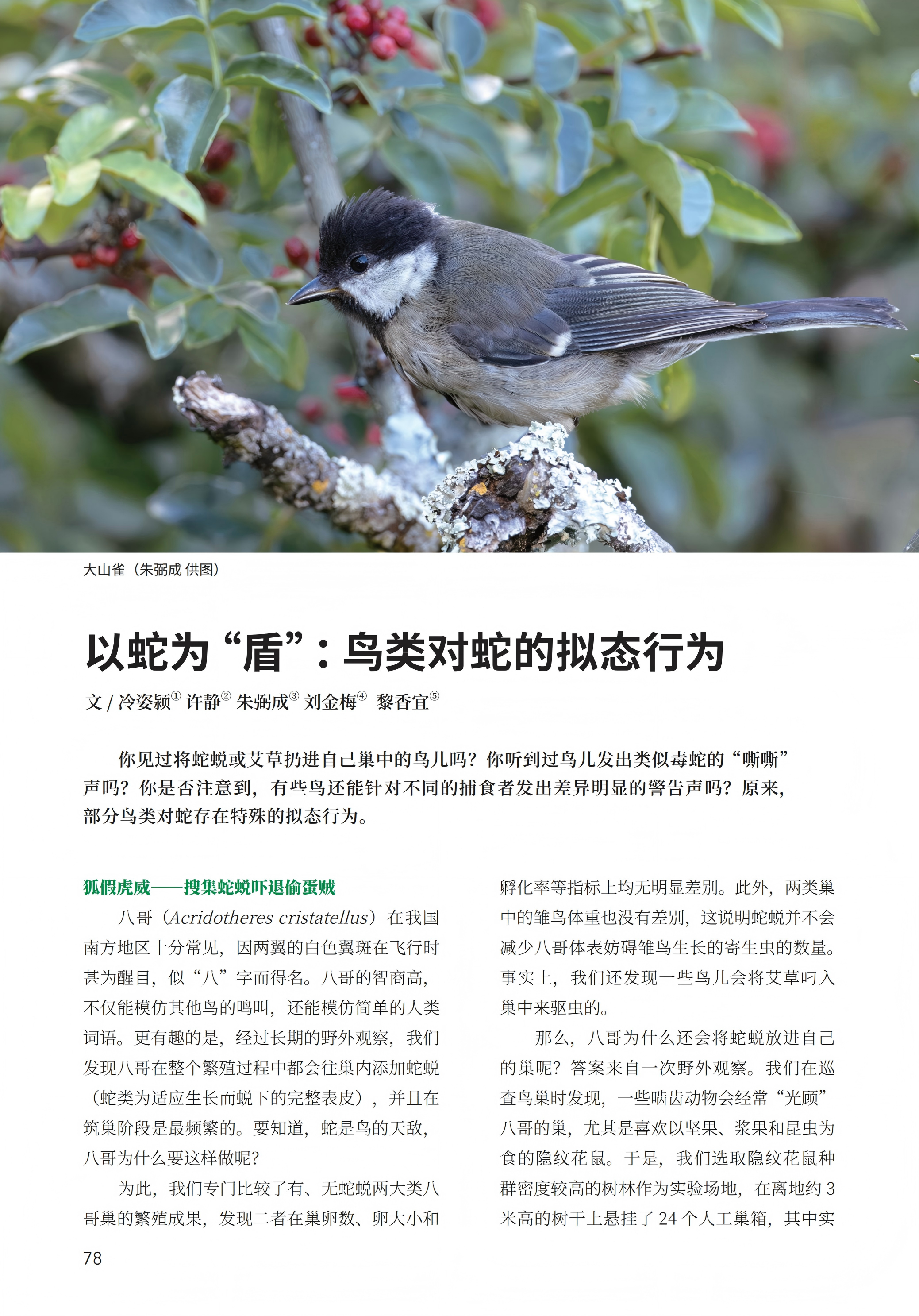 PDF合并_13.jpg