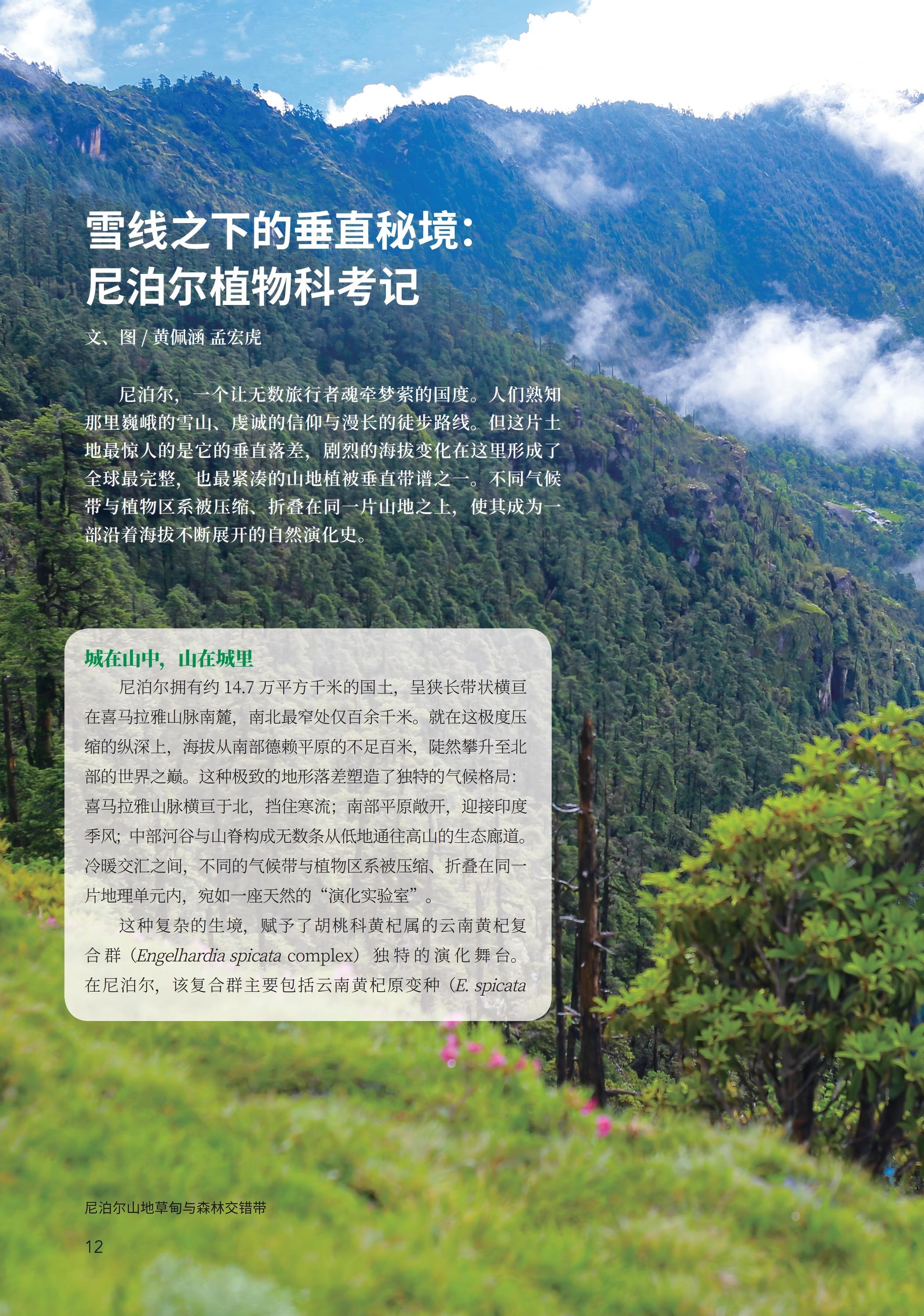 PDF合并_04.jpg