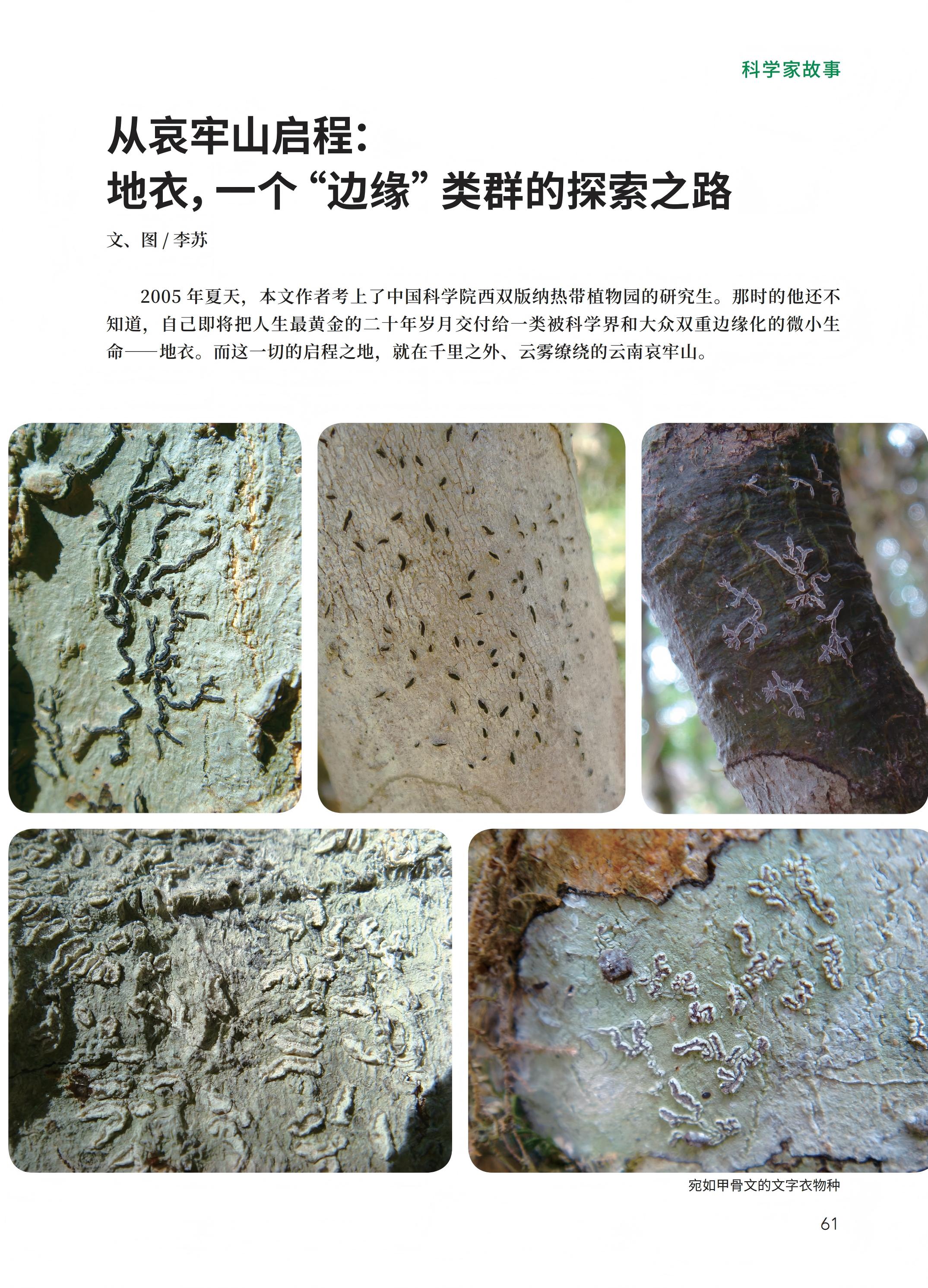 PDF合并_13.jpg