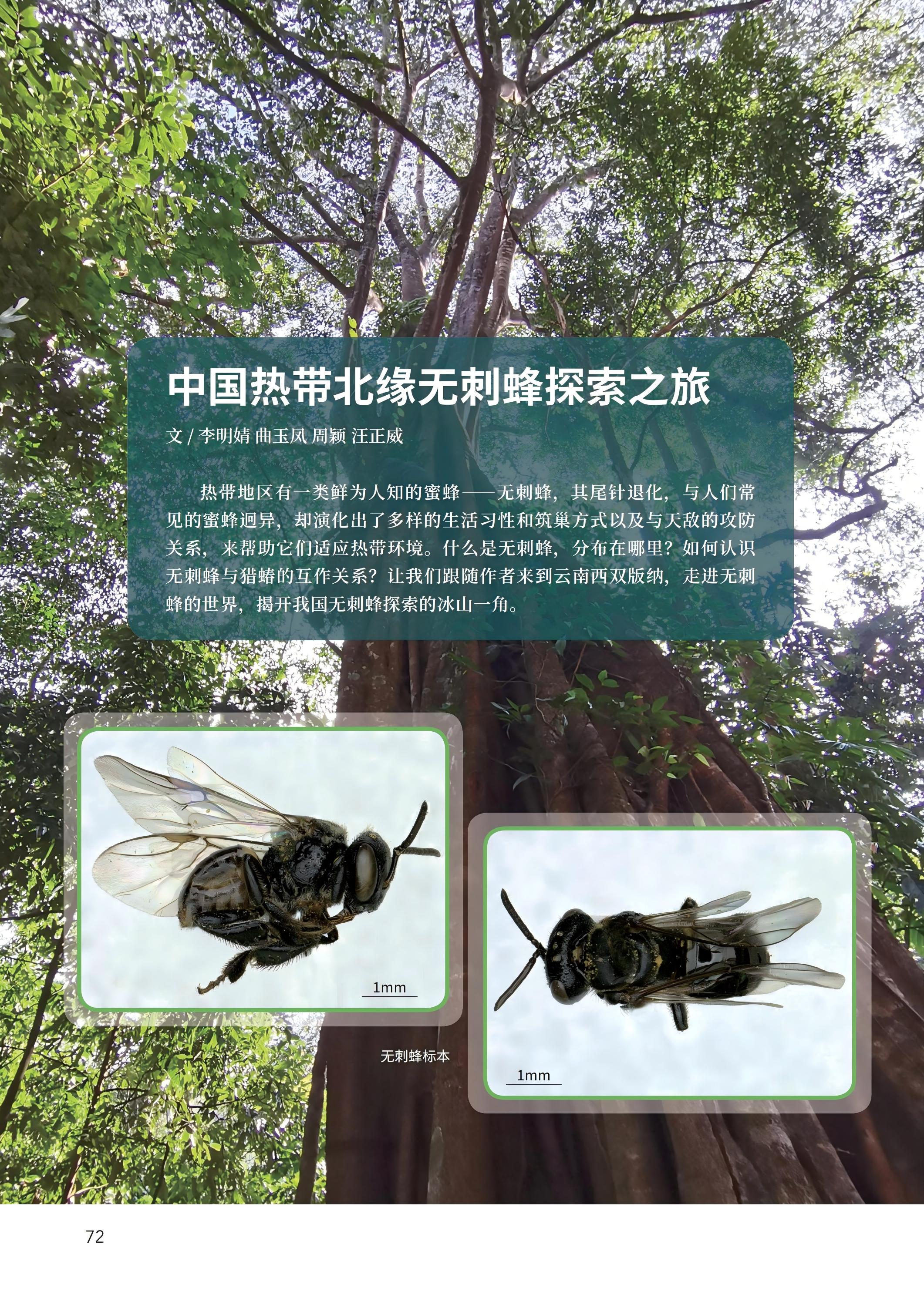 PDF合并_15.jpg