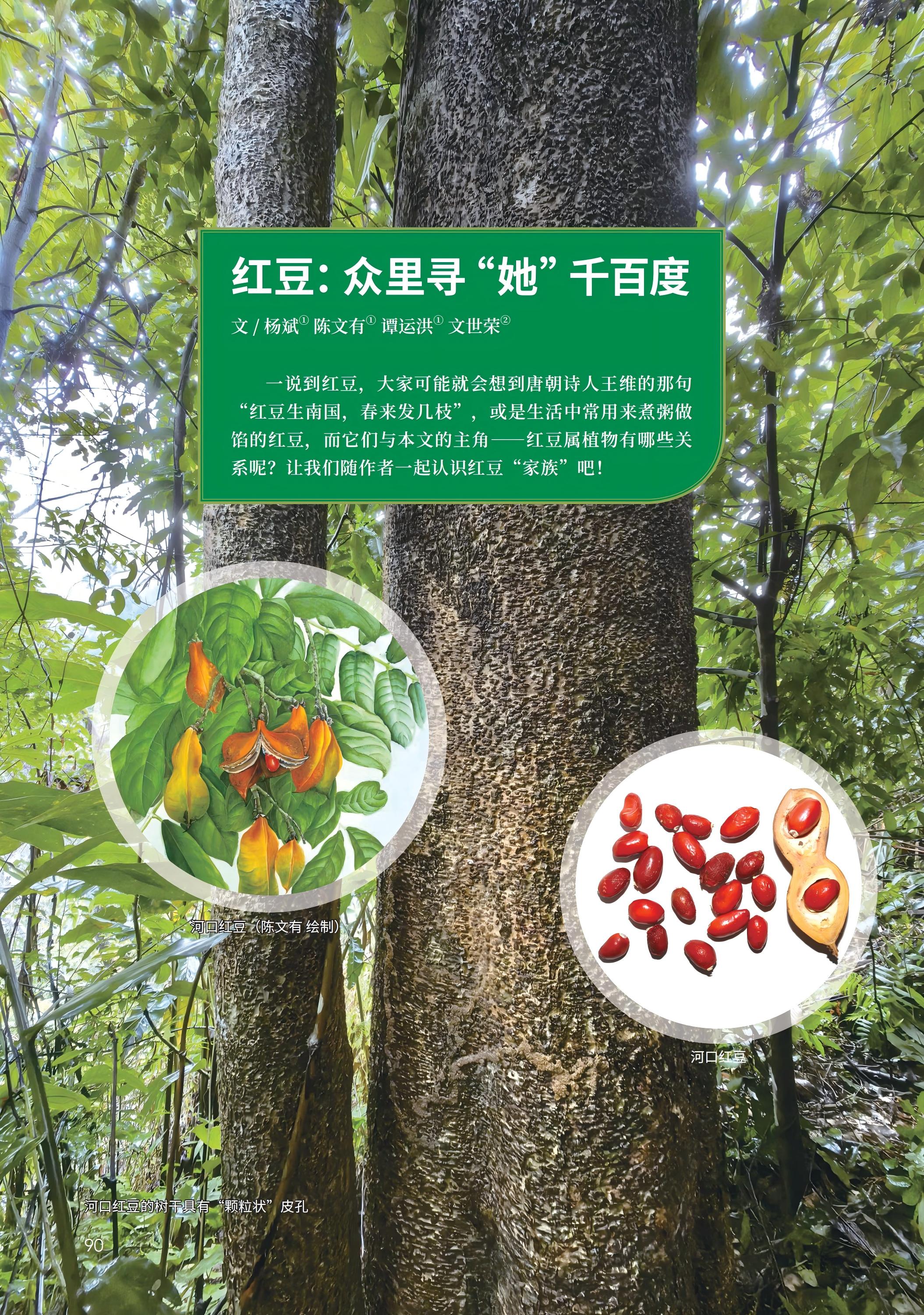 PDF合并_17.jpg