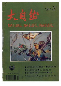 1994年第2期(总56期)