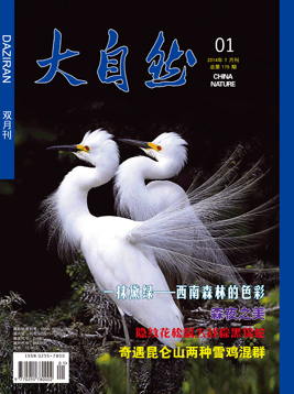 2014年第1期(总175期)