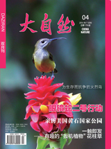 2014年第4期(总178期)