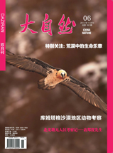 2014年第6期(总180期)