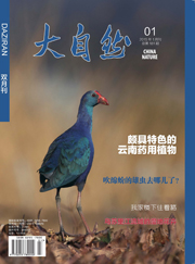 2015年第1期(总181期)