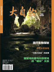 2015年第2期(总182期)