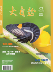 2015年第3期(总183期)