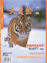 2015年第6期(总186期)